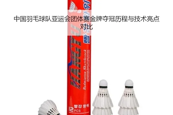 中国羽毛球队亚运会团体赛金牌夺冠历程与技术亮点对比 - yh533388